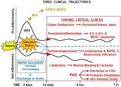 Frontiers | Chronic Critical Illness And The Persistent Inflammation ...